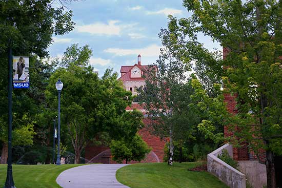 a photo of McMullen Hall taken from the west in summertime