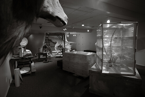 "A Subboreal Studios Mysterious Museum Installation" Display
